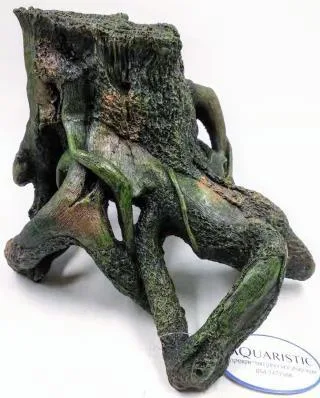 Hollow stump with exposed roots, 31 cm