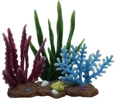 Reef base planted with three growths, 32 cm