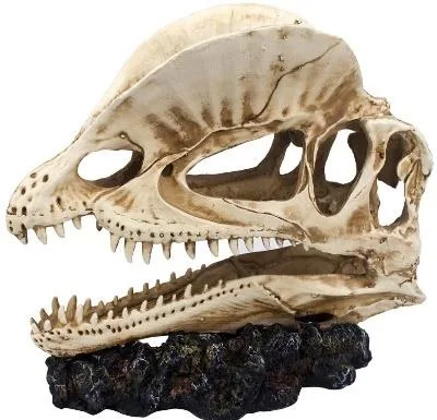 Resin aquarium ornament in the shape of a large dinosaur/ceratopsian-style skull mounted on a dark rock base