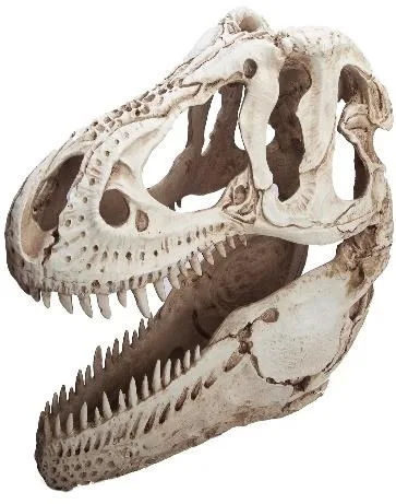Resin aquarium ornament shaped as a theropod (T-Rex style) dinosaur skull with open jaw and visible teeth