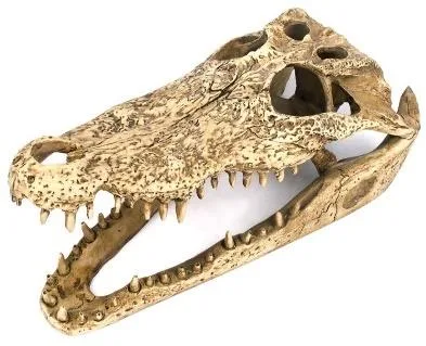 Resin aquarium ornament shaped as a crocodile skull with elongated snout and visible teeth