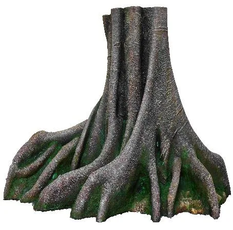 Large mangrove root formation, 118 cm
