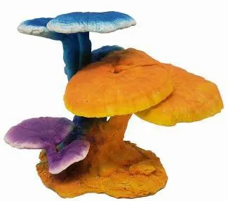 Cluster of coral mushroom fans, blue and orange, 15 cm