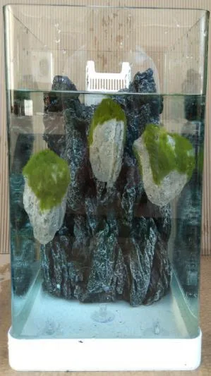 Floating stones with moss - set of 12 (6 stones, 6 pumice), 9×9×9 cm each