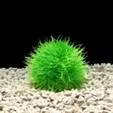 Artificial silk/plastic aquarium plant, 8 cm across (SC3266)