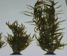 SH 232 artificial kelp in a special material
