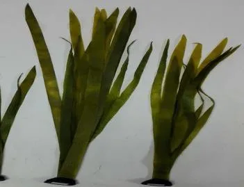 KP002 artificial kelp in a special material