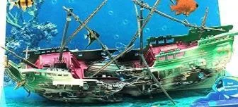 Veny's Sea-Treasure