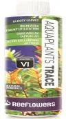 ReeFlowers AquaPlants Trace (VI)