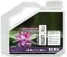 ReeFlowers Pond Lotus All Inclusive