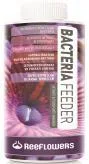 ReeFlowers Bacteria Feeder