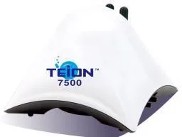 Teion