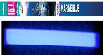 Arcadia Marine Blue