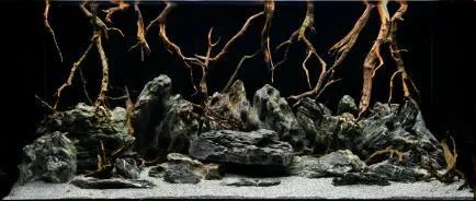 SeaView Brilliant Backgrounds Aqua Garden / Bright Stone