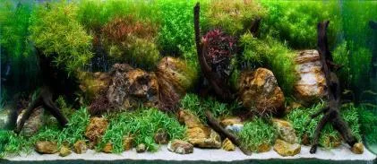 SeaView Brilliant Backgrounds River Rock / Sea of Green