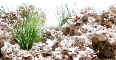 Wonder Scape / Cloud Stone aquascape, 60 cm