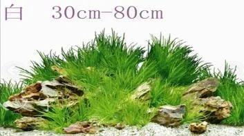 SeaView Brilliant Backgrounds 9098/9030 double-sided aquarium background, 60 cm