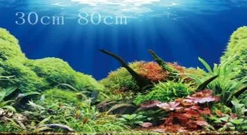SeaView Brilliant Backgrounds 9096/9097 double-sided aquarium background, 60 cm