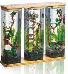 Athena-3 designer aquarium, three 15×15×60 cm tanks
