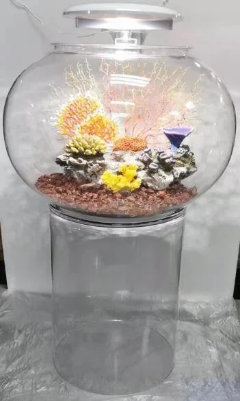 designer bowl aquarium on a cylindrical base