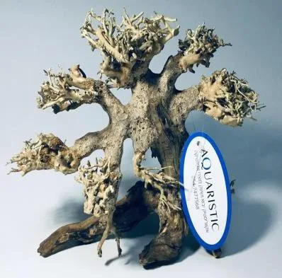 BZ34 natural bonsai driftwood