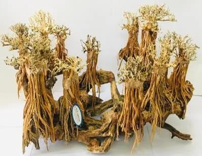BZ104 natural bonsai driftwood