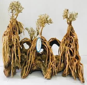 BZ103 natural bonsai driftwood