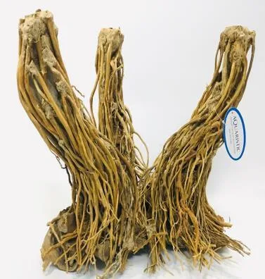 BZ119 natural bonsai driftwood