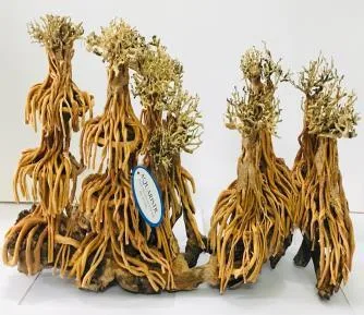 BZ112 natural bonsai driftwood