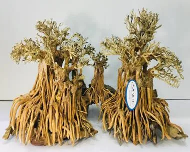 BZ94 natural bonsai driftwood