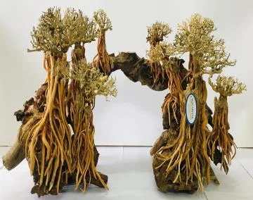 BZ123 natural bonsai driftwood, 40x22x30 cm