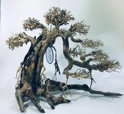 BZ72 natural bonsai driftwood, 32x17x25 cm