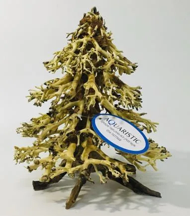BZ64 natural bonsai driftwood, 15x10x15 cm