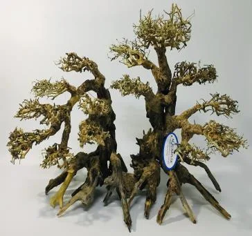 BZ43 natural bonsai driftwood