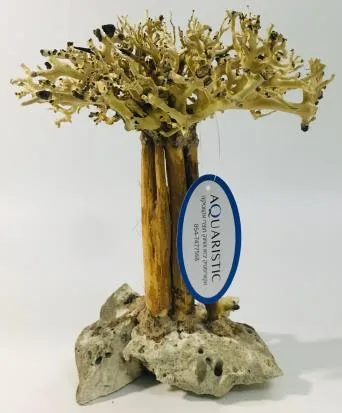 BZ8 natural bonsai driftwood