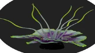Glowing anemone, six colours, 8×8×8 cm