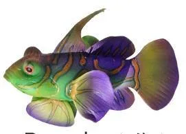 Floating mandarinfish ornament, three colours, 8×3×7 cm