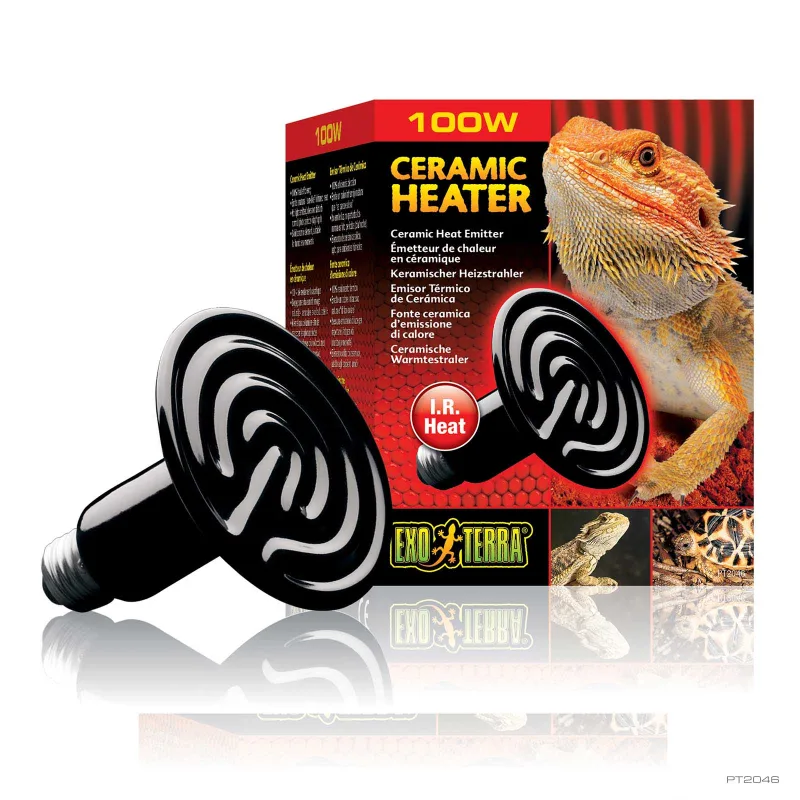 Ceramic Heater