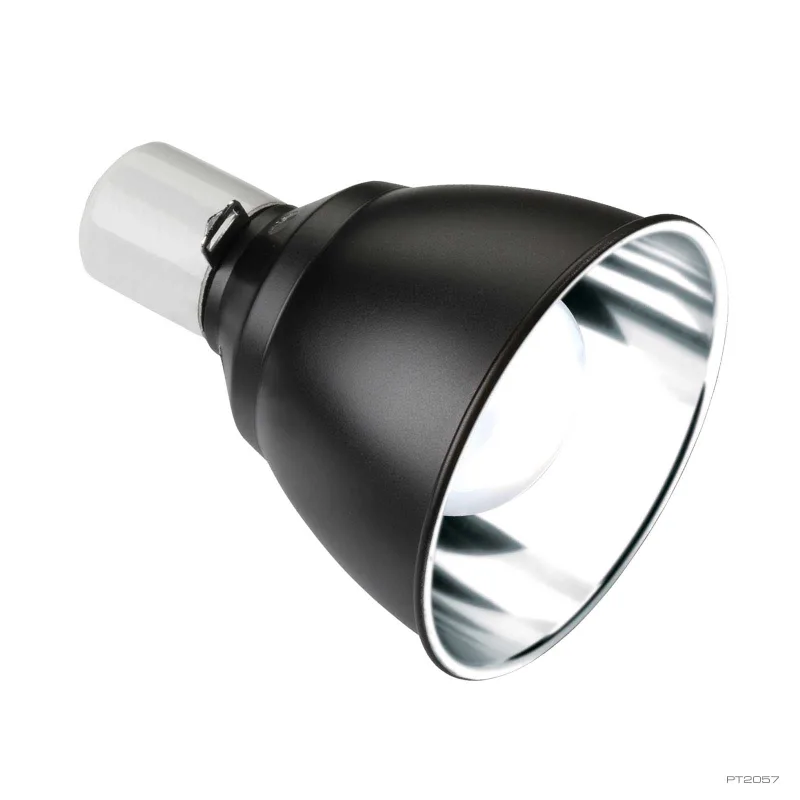 Light Dome lamp fixture (no bulb)