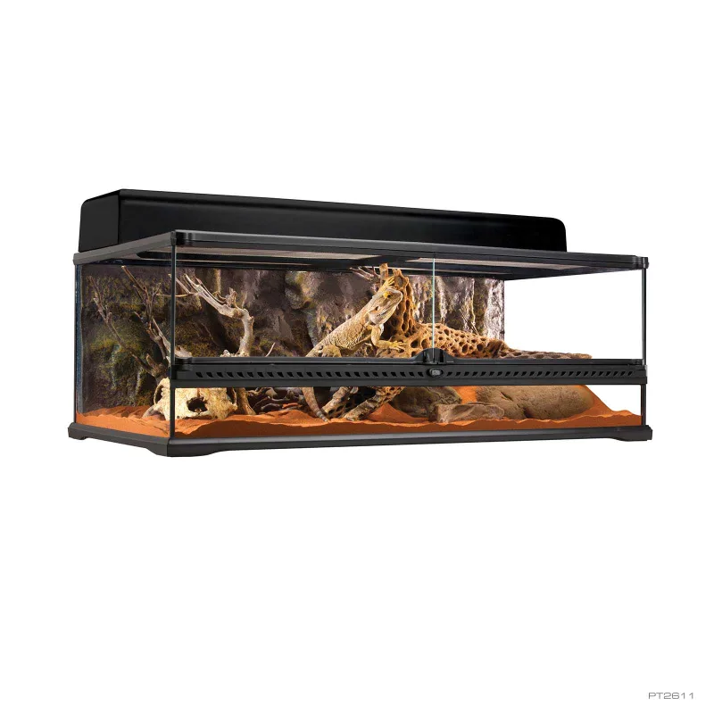 Natural Terrarium Large