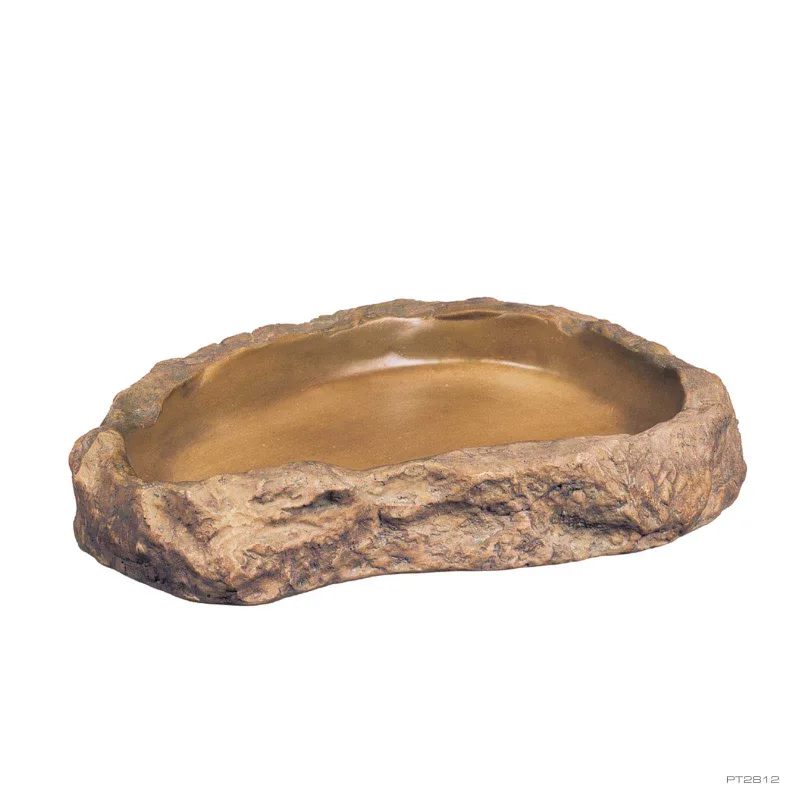 Feeding Dish