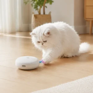 PAWGETHER PLAY 1 automatic cat toy
